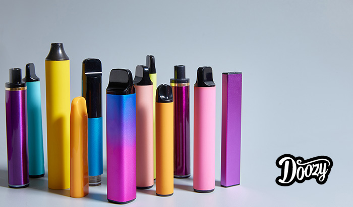 Disposable Vapes vs. Refillable Vapes: Which is the Better Choice? - Doozy  Vape Co